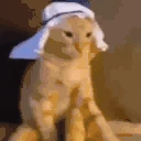 ABDUL emote