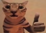 CatYep emote
