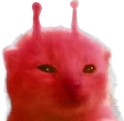 rorp emote