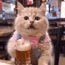 catBeer emoji