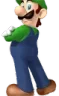 luig emote