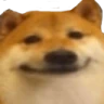 doge_face emote