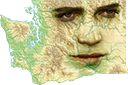 Washington emoji