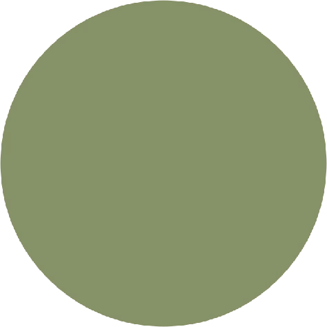 Tropical_Green_Circle emote