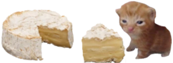 camembert emote