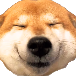 doge_kyaa emote