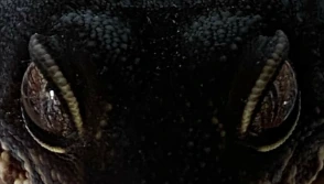 LeopardGeckoBlackNightEyes emoji