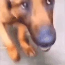 Stinky emote