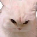 ANGY emote