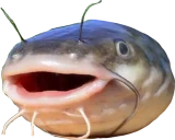 Catfishya emote