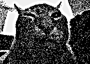 buhx emote