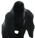 MonkeySpin emote