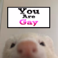 rat_youaregay emote