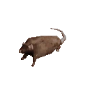 One_rat emote