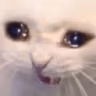 CE_Sob2 emote