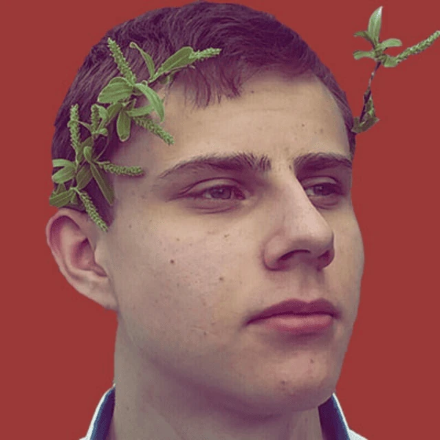 WZR02 emote