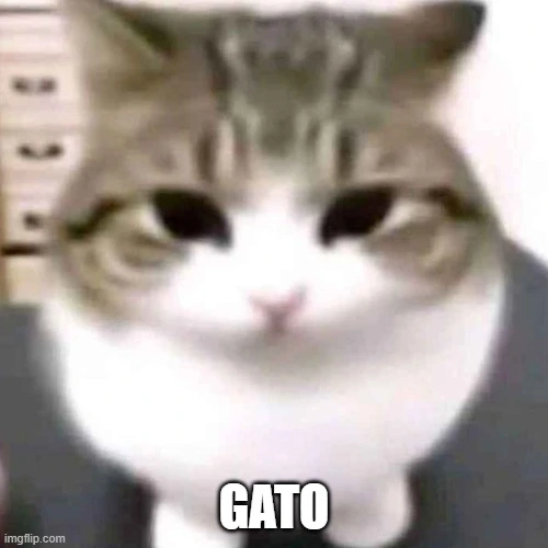 Cat emote