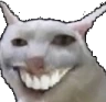 SmileCat emote