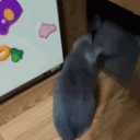 CE_Gone2 emote