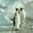 Penguinslaps emote