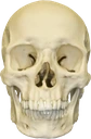 skull emote