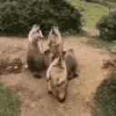 war animated emote