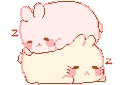 BunniesSleeping emote