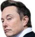 elonaboveit static emote