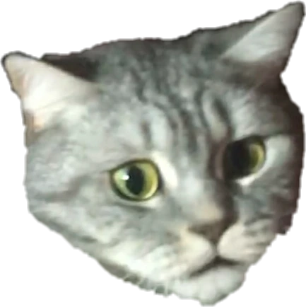 CatBruh emote