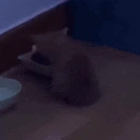 wiwiwi emote