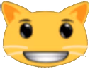 winning_smile_cat emote