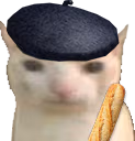 FrenchCat emote