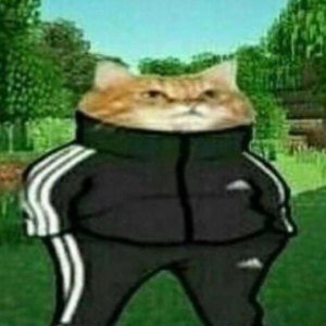 igor_mec avatar