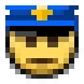 police emote