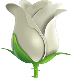 white_rose emote