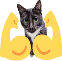 musclecat emote