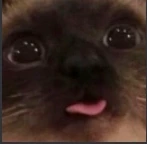 blem emote