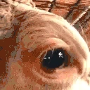 MILKDETECTED emoji