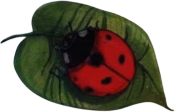 ladybug_leaf emote