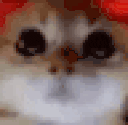 RAGEY animated emote