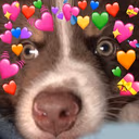 Sad_Love_Dog emote