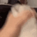 CATOJERK emote