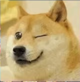 doge emote