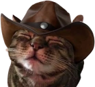 meowssidy emote