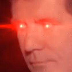 in_sight emote