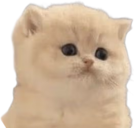 DumbfoundedKitten emote