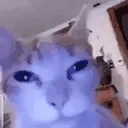 losvoyamatar emote