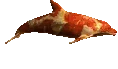 carl emote
