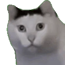 huh emote