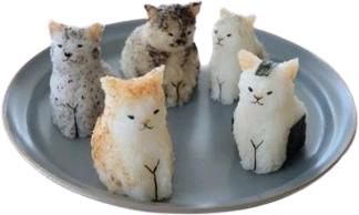 kittyrice emote